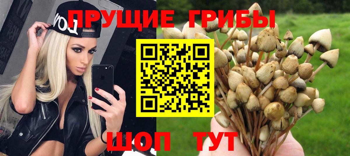 МЕТАДОН Орск