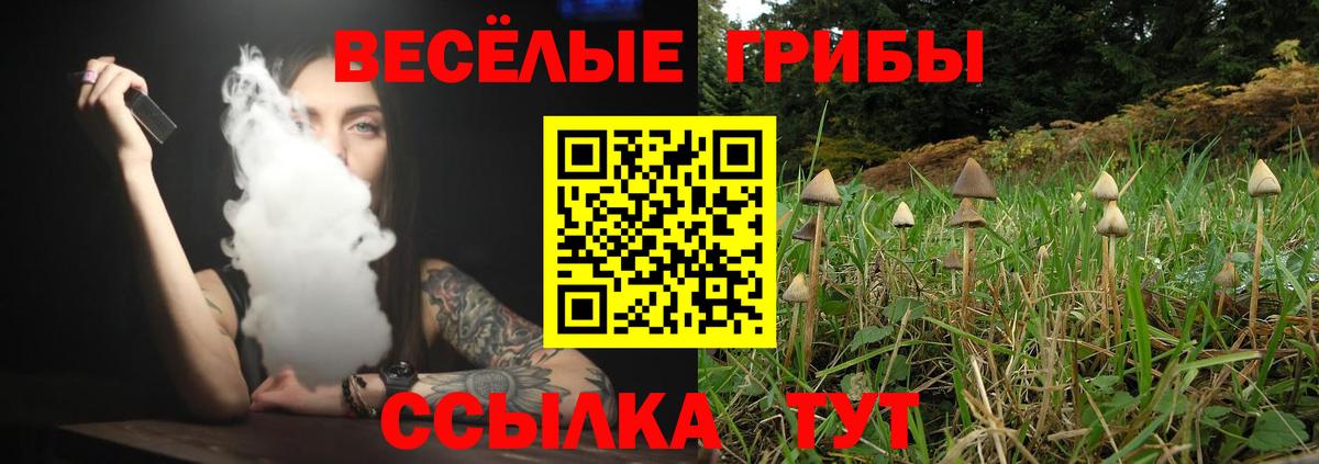 Орск  Галлюциногенные грибы прущие грибы  Вход с VPN 